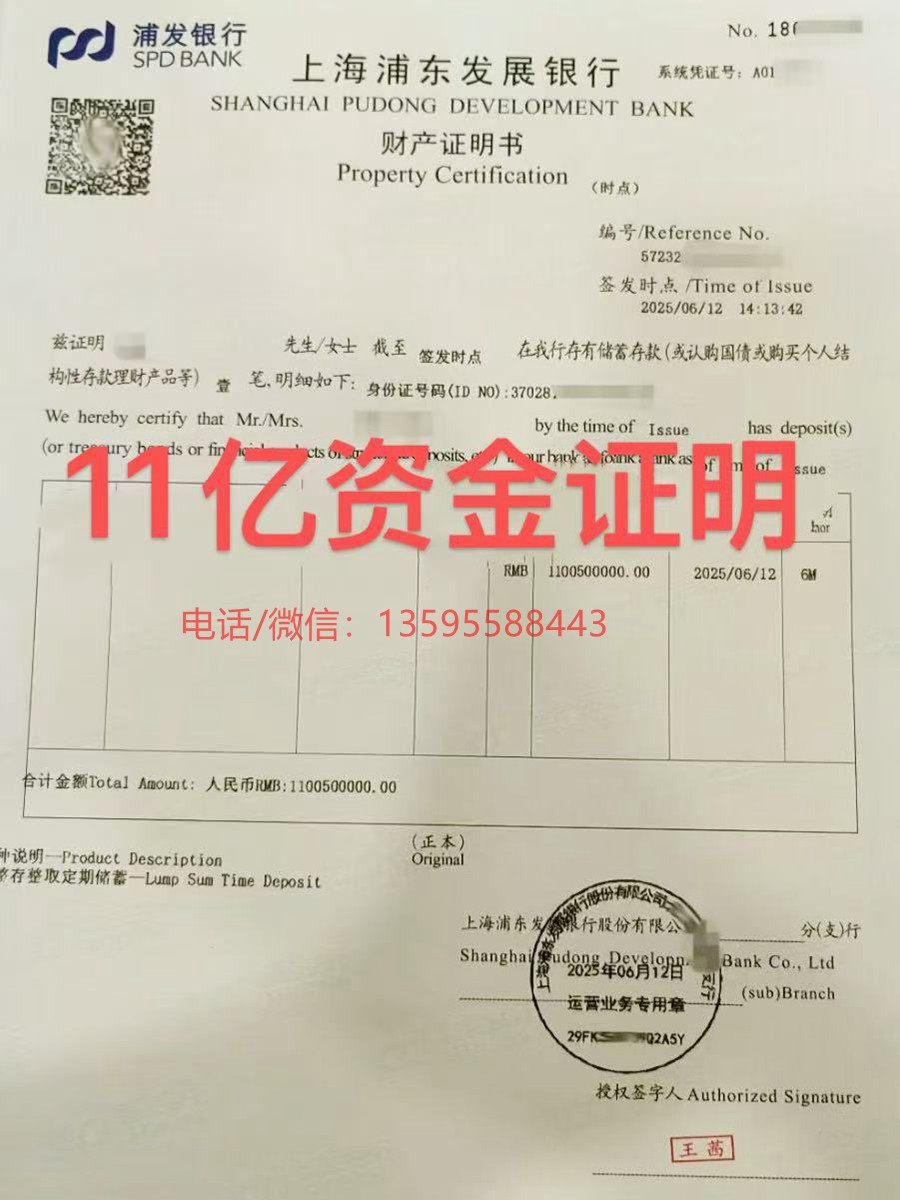 个人财产证明（11亿）(图1)